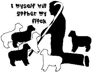 I myslef will gather my flock